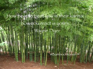 Bamboo Woman Bamboo Photo