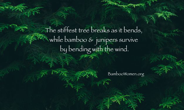 Bamboo Women Leaders Bend Instead of Breaking