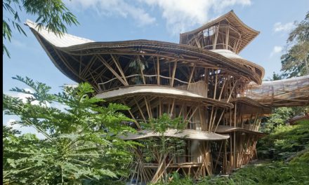 Magical Bamboo House